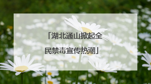 湖北通山掀起全民禁毒宣传热潮