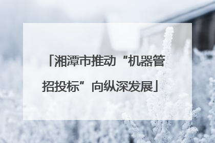 湘潭市推动“机器管招投标”向纵深发展