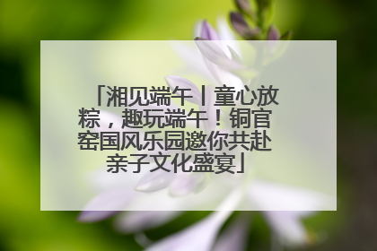 湘见端午丨童心放粽，趣玩端午！铜官窑国风乐园邀你共赴亲子文化盛宴