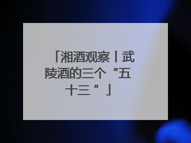 湘酒观察丨武陵酒的三个“五十三 ”