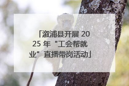 溆浦县开展 2025 年“工会帮就业”直播带岗活动