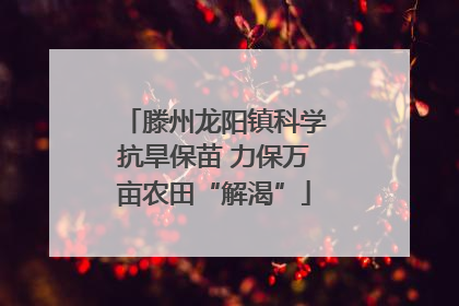 滕州龙阳镇科学抗旱保苗 力保万亩农田“解渴”