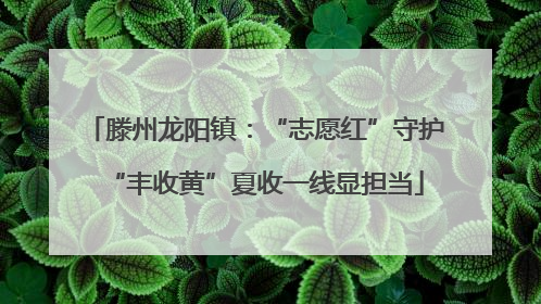 滕州龙阳镇：“志愿红”守护“丰收黄”夏收一线显担当