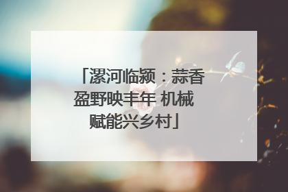 漯河临颍：蒜香盈野映丰年 机械赋能兴乡村