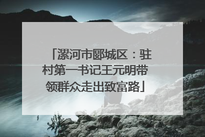 漯河市郾城区：驻村第一书记王元明带领群众走出致富路