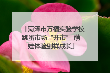 菏泽市万福实验学校跳蚤市场“开市” 萌娃体验别样成长