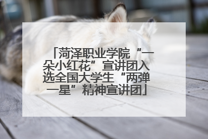 菏泽职业学院“一朵小红花”宣讲团入选全国大学生“两弹一星”精神宣讲团