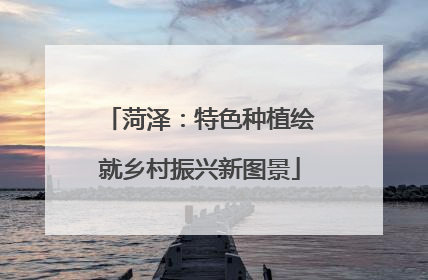 菏泽：特色种植绘就乡村振兴新图景