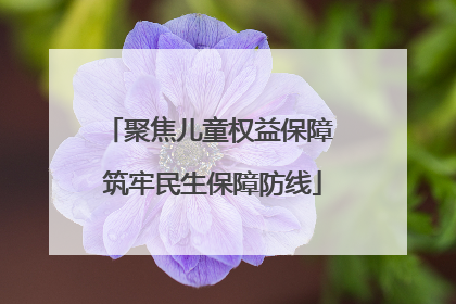 聚焦儿童权益保障 筑牢民生保障防线