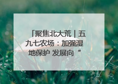 聚焦北大荒｜五九七农场：加强湿地保护 发展向“绿”而行