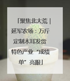 聚焦北大荒｜延军农场：万斤定制木耳发货 特色产业“成绩单”亮眼