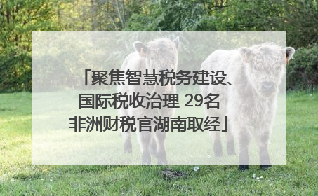 聚焦智慧税务建设、国际税收治理 29名非洲财税官湖南取经