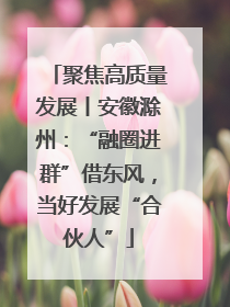 聚焦高质量发展丨安徽滁州：“融圈进群”借东风，当好发展“合伙人”