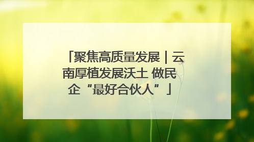 聚焦高质量发展｜云南厚植发展沃土 做民企“最好合伙人”