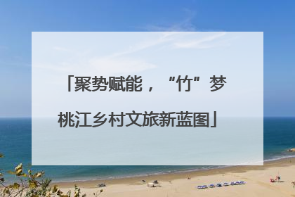 聚势赋能，“竹”梦桃江乡村文旅新蓝图