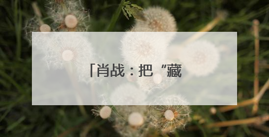肖战：把“藏海”最大化