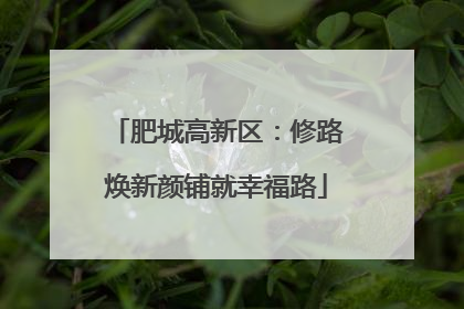 肥城高新区：修路焕新颜铺就幸福路