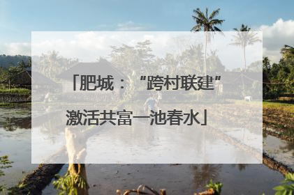 肥城：“跨村联建”激活共富一池春水