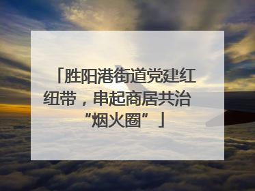 胜阳港街道党建红纽带，串起商居共治 “烟火圈”