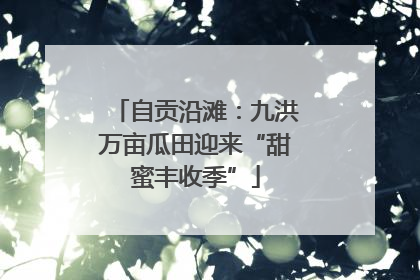 自贡沿滩：九洪万亩瓜田迎来“甜蜜丰收季”