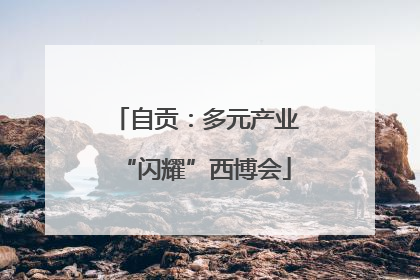 自贡：多元产业“闪耀”西博会