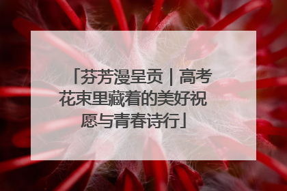 芬芳漫呈贡｜高考花束里藏着的美好祝愿与青春诗行