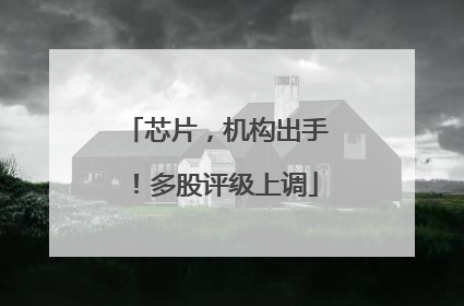 芯片，机构出手！多股评级上调