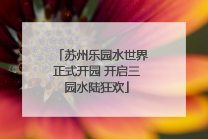 苏州乐园水世界正式开园 开启三园水陆狂欢