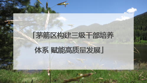 茅箭区构建三级干部培养体系 赋能高质量发展