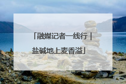 融媒记者一线行｜盐碱地上麦香溢