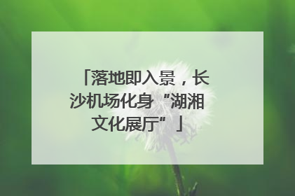 落地即入景，长沙机场化身“湖湘文化展厅”