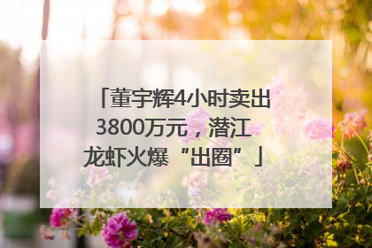 董宇辉4小时卖出3800万元，潜江龙虾火爆“出圈”