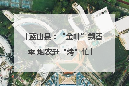 蓝山县：“金叶”飘香季 烟农赶“烤”忙