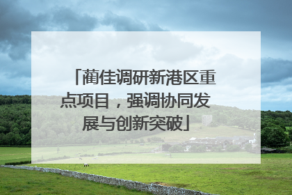 蔺佳调研新港区重点项目，强调协同发展与创新突破