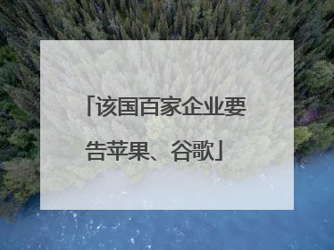 该国百家企业要告苹果、谷歌