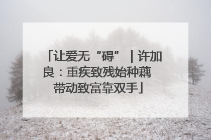 让爱无“碍”｜许加良：重疾致残始种藕 带动致富靠双手