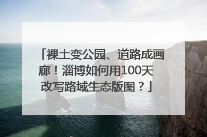 裸土变公园、道路成画廊！淄博如何用100天改写路域生态版图？