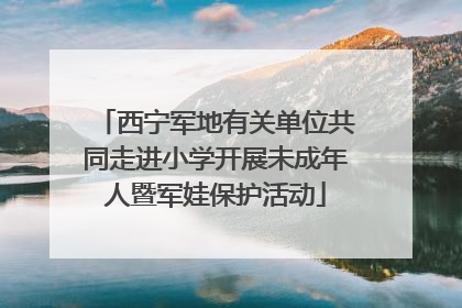 西宁军地有关单位共同走进小学开展未成年人暨军娃保护活动