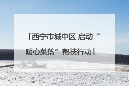 西宁市城中区 启动“暖心菜篮”帮扶行动