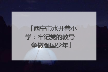 西宁市水井巷小学：牢记党的教导 争做强国少年