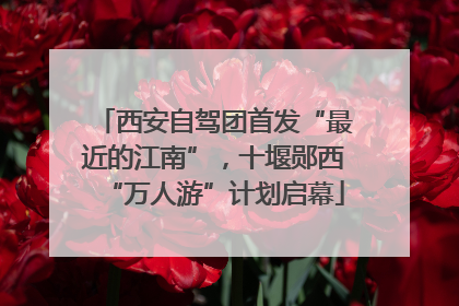 西安自驾团首发“最近的江南”，十堰郧西“万人游”计划启幕