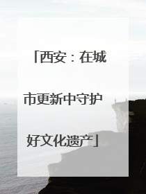 西安：在城市更新中守护好文化遗产