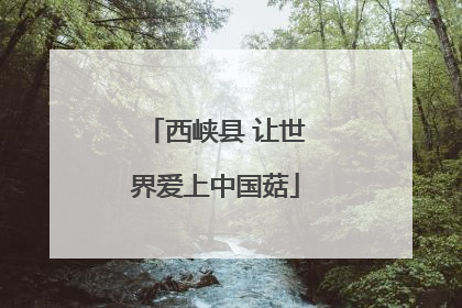西峡县 让世界爱上中国菇