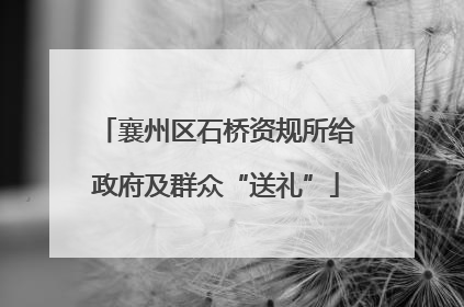 襄州区石桥资规所给政府及群众“送礼”