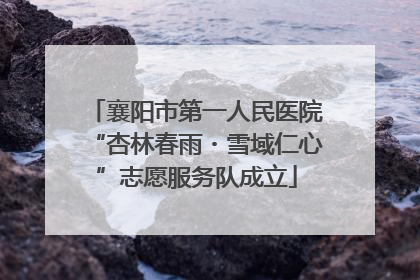 襄阳市第一人民医院“杏林春雨・雪域仁心”志愿服务队成立