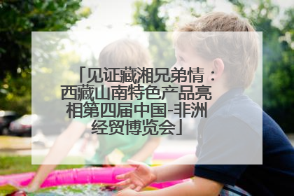 见证藏湘兄弟情：西藏山南特色产品亮相第四届中国-非洲经贸博览会