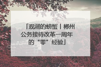 观潮的螃蟹丨郴州公务接待改革一周年的“零”经验