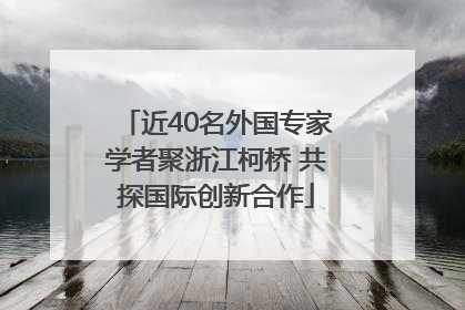 近40名外国专家学者聚浙江柯桥 共探国际创新合作