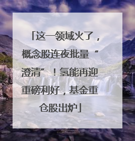 这一领域火了，概念股连夜批量“澄清”！氢能再迎重磅利好，基金重仓股出炉