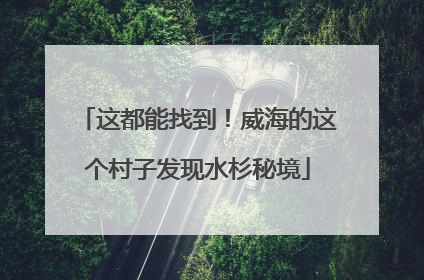 这都能找到！威海的这个村子发现水杉秘境